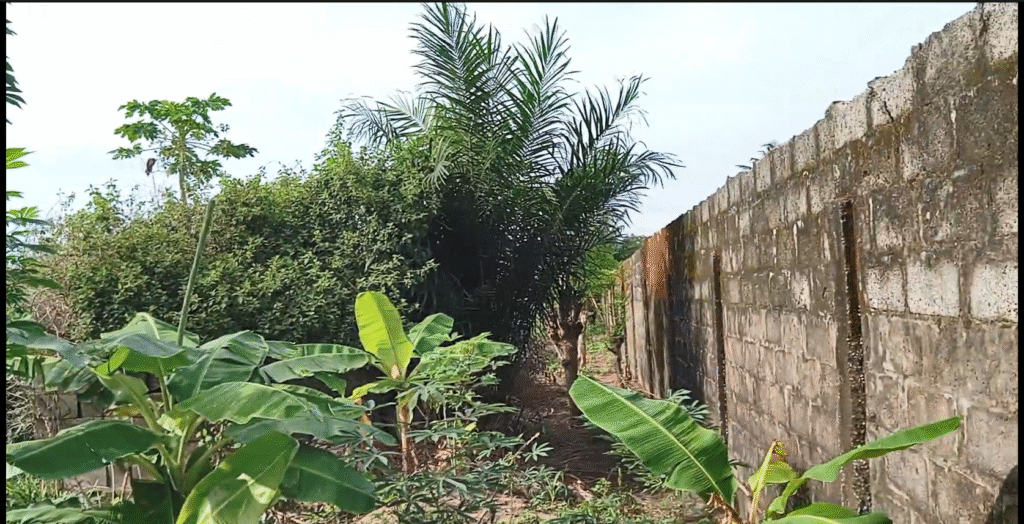 Premium Fenced 12 Plots for Sale near Bayo Bus stop, Badagry. Don’t Miss Out! Prime Location, Ready for Development image 3