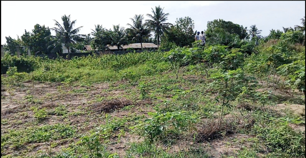 Premium Fenced 12 Plots for Sale near Bayo Bus stop, Badagry. Don’t Miss Out! Prime Location, Ready for Development image 1